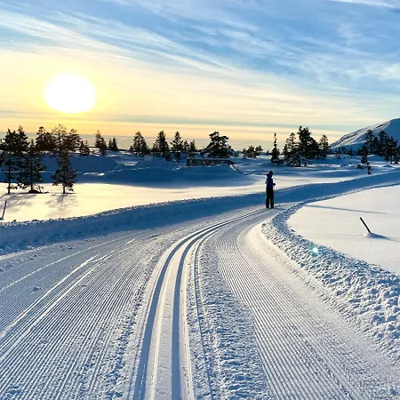 Panorama Vrådal
