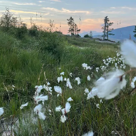 Semesterbostad Panorama Vrådal