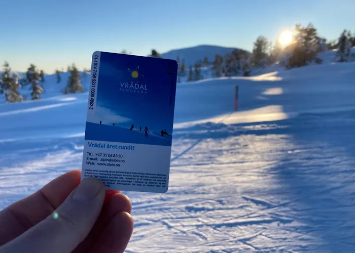 Holiday home Panorama Vradal