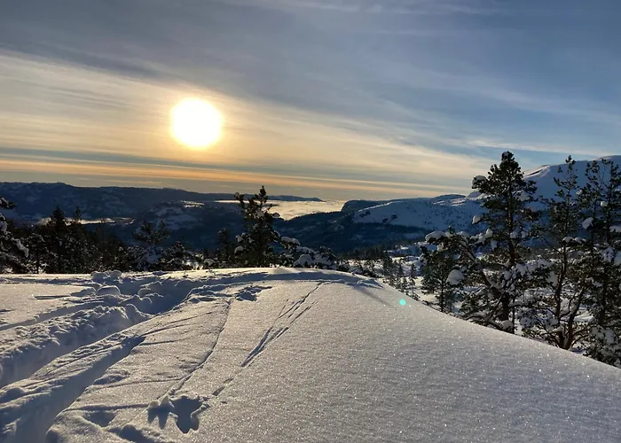 Panorama Holiday home *