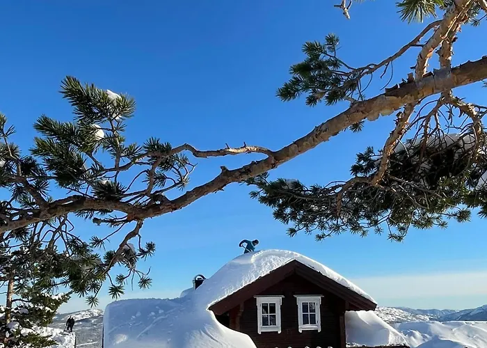 Panorama Holiday home Vradal