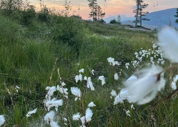 Holiday home Panorama Vradal