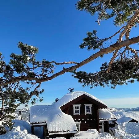 Panorama Vakantiehuis Vradal