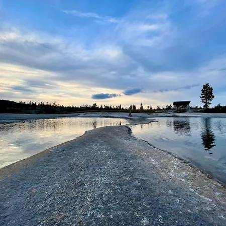 Panorama *